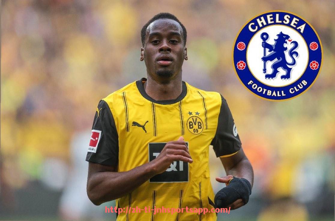 金年会app-世俱杯主办城市区域联动与跨区协调机制优化研究